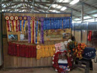 The Big Barn Ranch team won a wallful of ribbons.